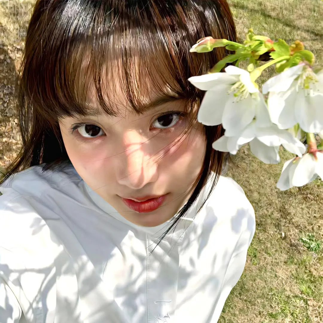 公子倾城