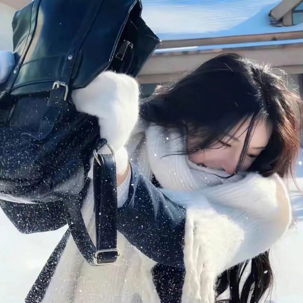 纳米核心第二季