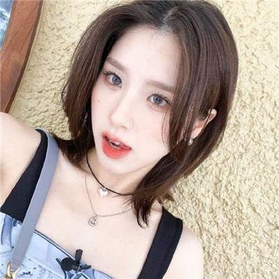 热带雨林的爆笑生活
